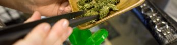 High-Quality Herb: Discovering the Best Dispensary in DC