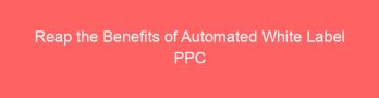 Reap the Benefits of Automated White Label PPC Strategies