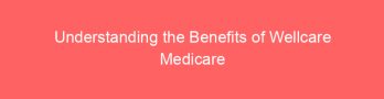 Understanding the Benefits of Wellcare Medicare Part D 2024