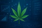 Find the Cheapest Weed Online Canada Without Compromising Quality