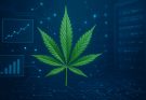 Find the Cheapest Weed Online Canada Without Compromising Quality