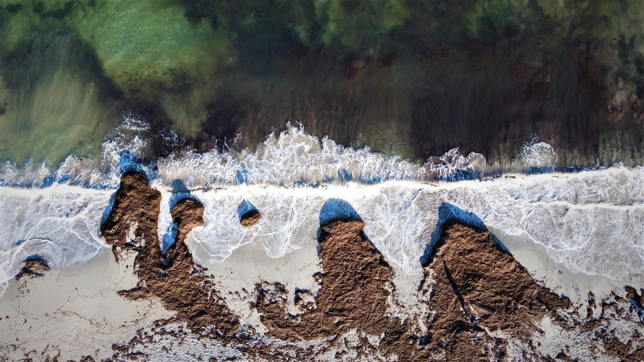 Seaside, beach, sea —